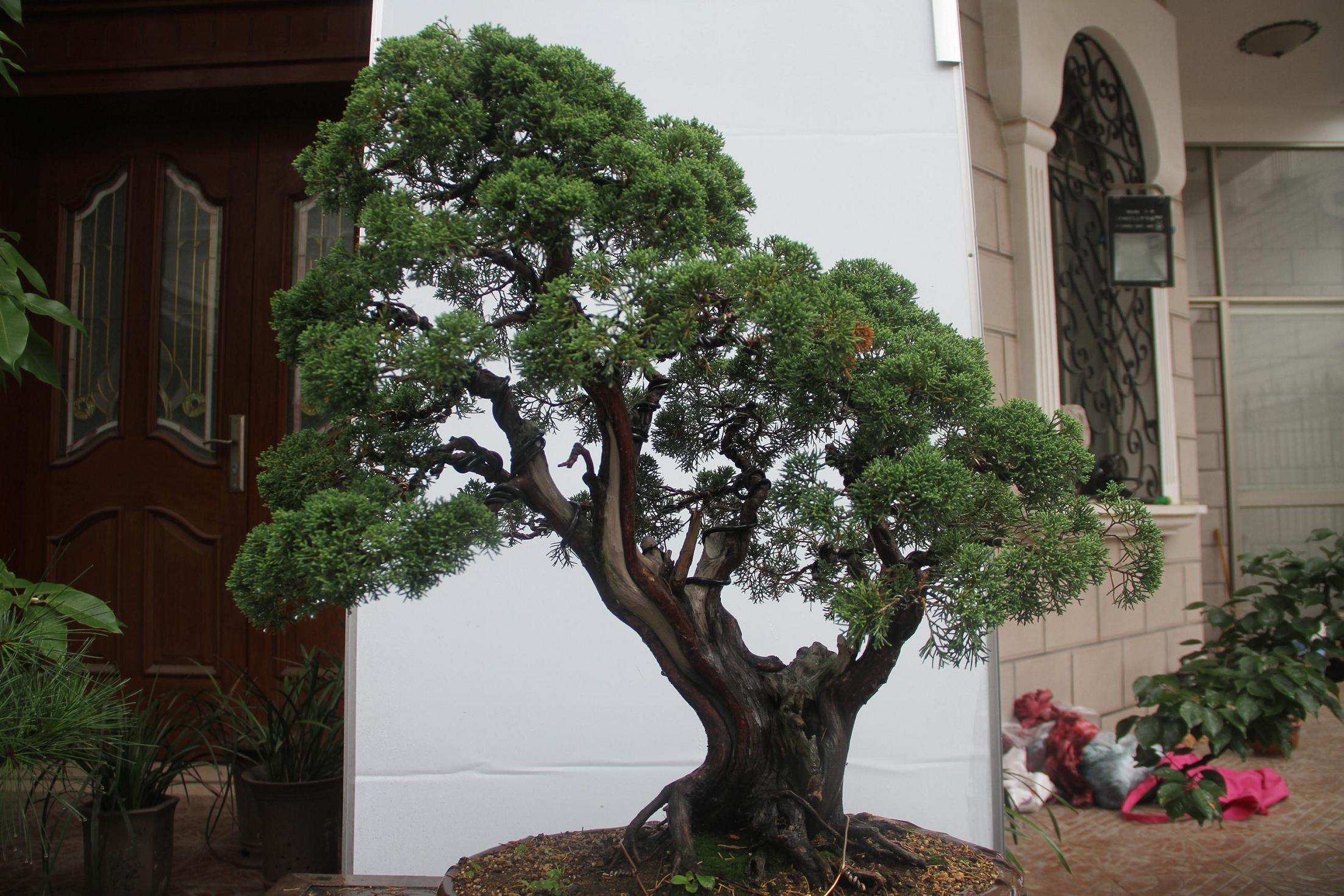 20120708 002.jpg