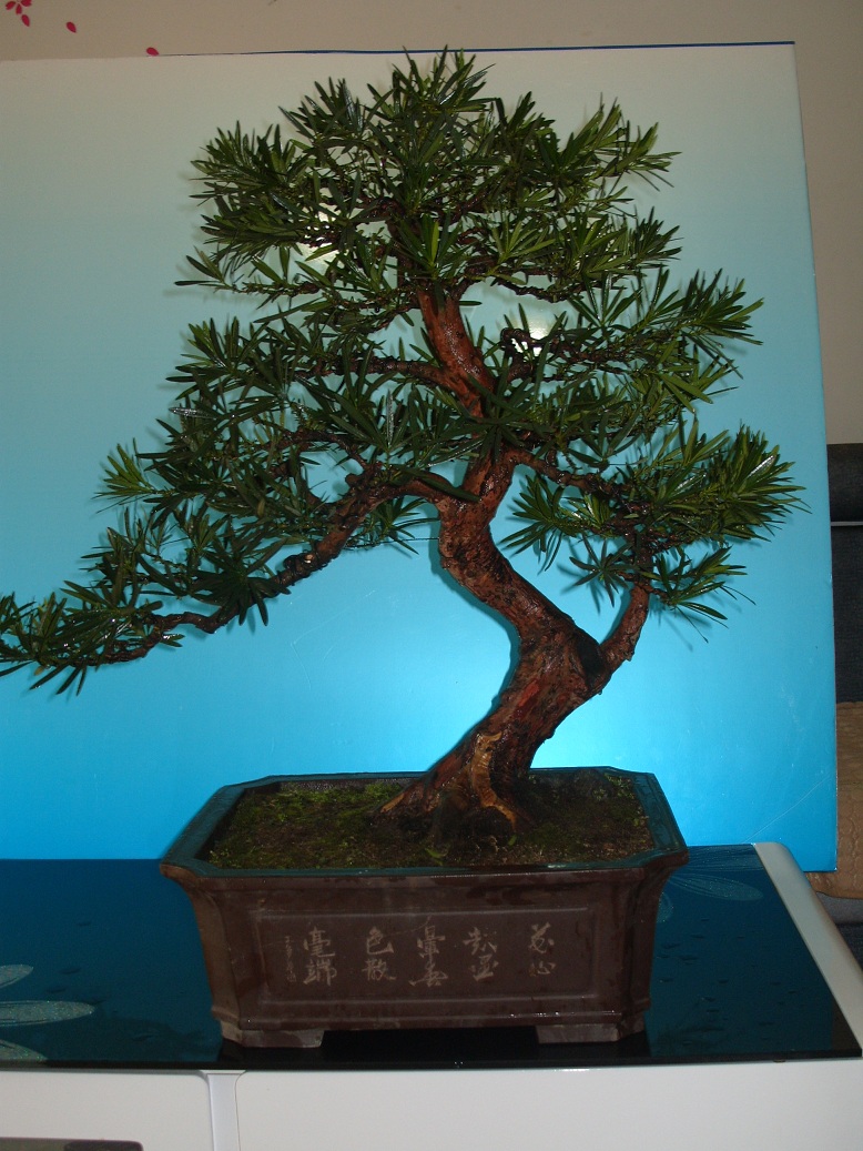 S1052008.JPG