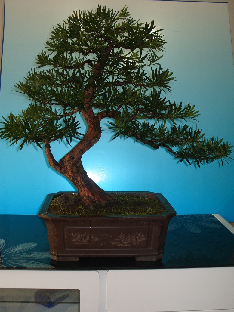 S1052028.JPG