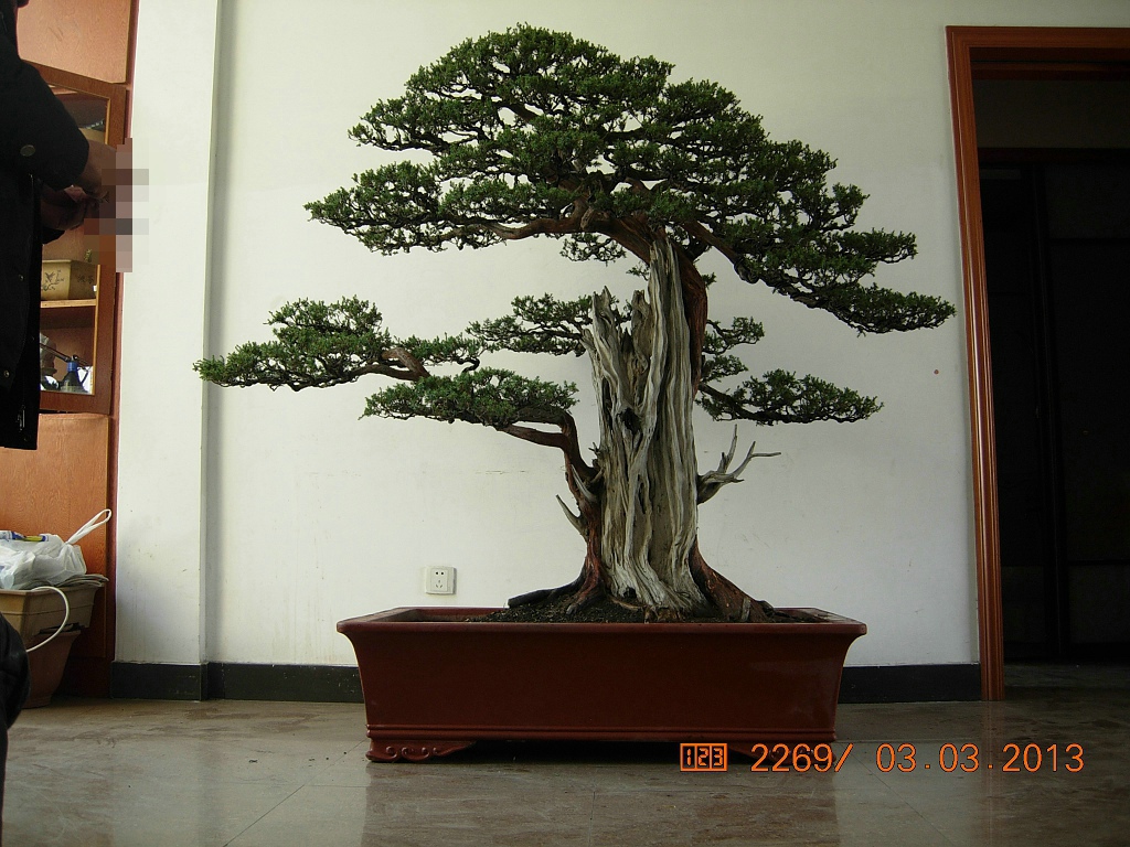 DSCN6547.JPG