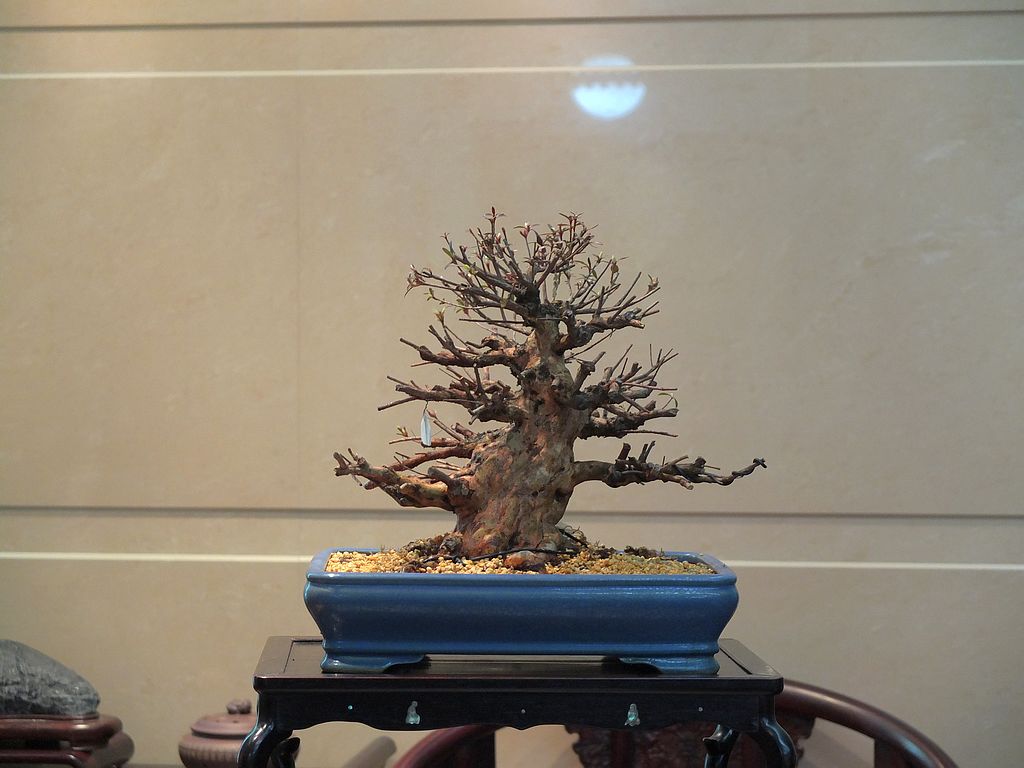 DSCF1289.jpg