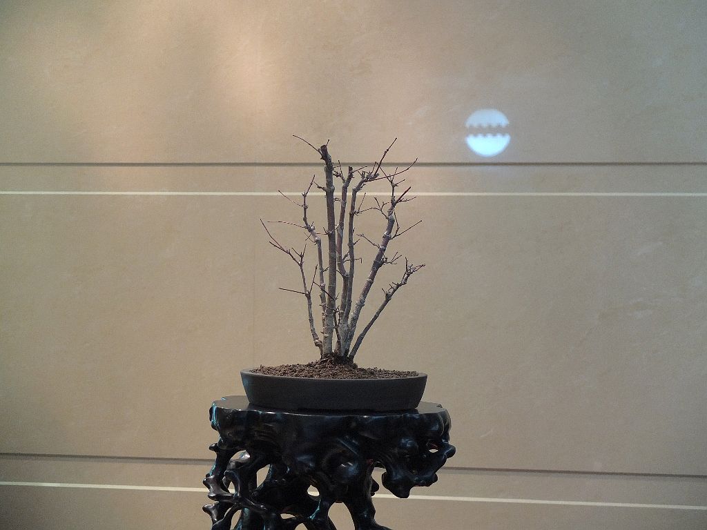 DSCF1337.jpg