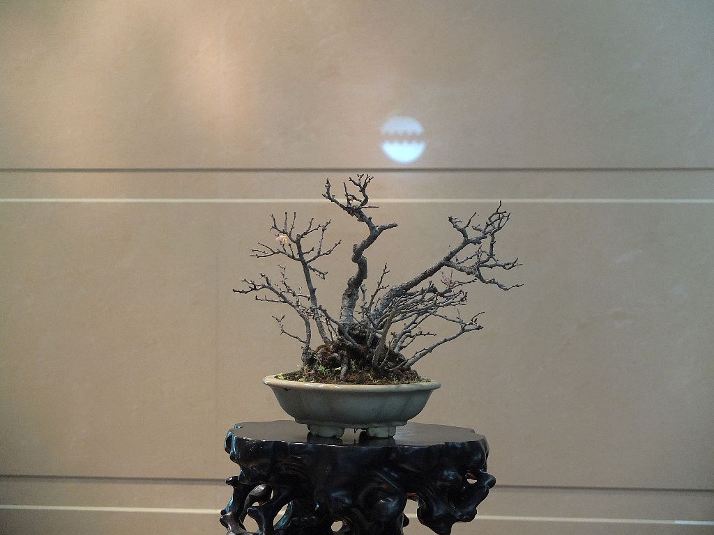 DSCF1298.jpg