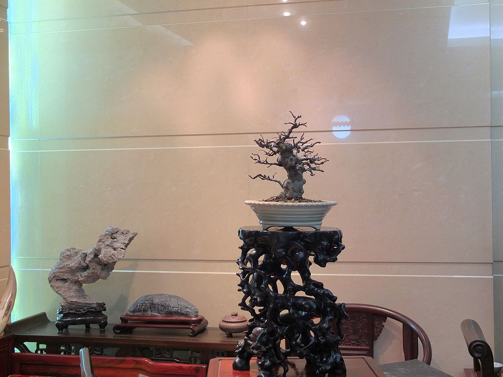 DSCF1317.jpg