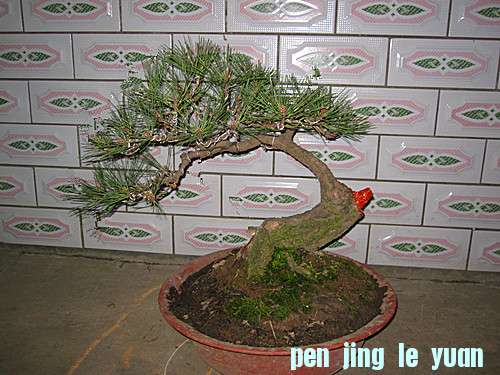 IMG_5112_.jpg