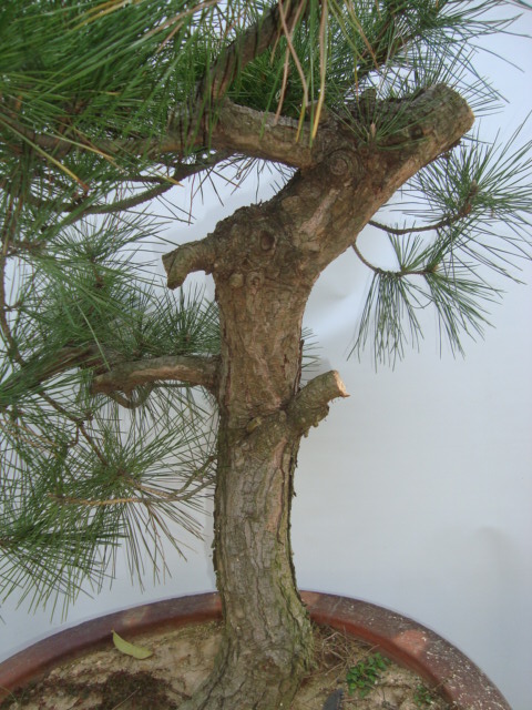 DSC06692.jpg