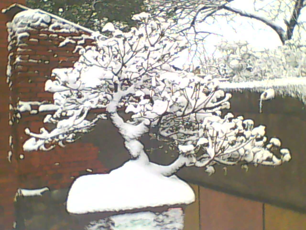 130219B113.jpg
