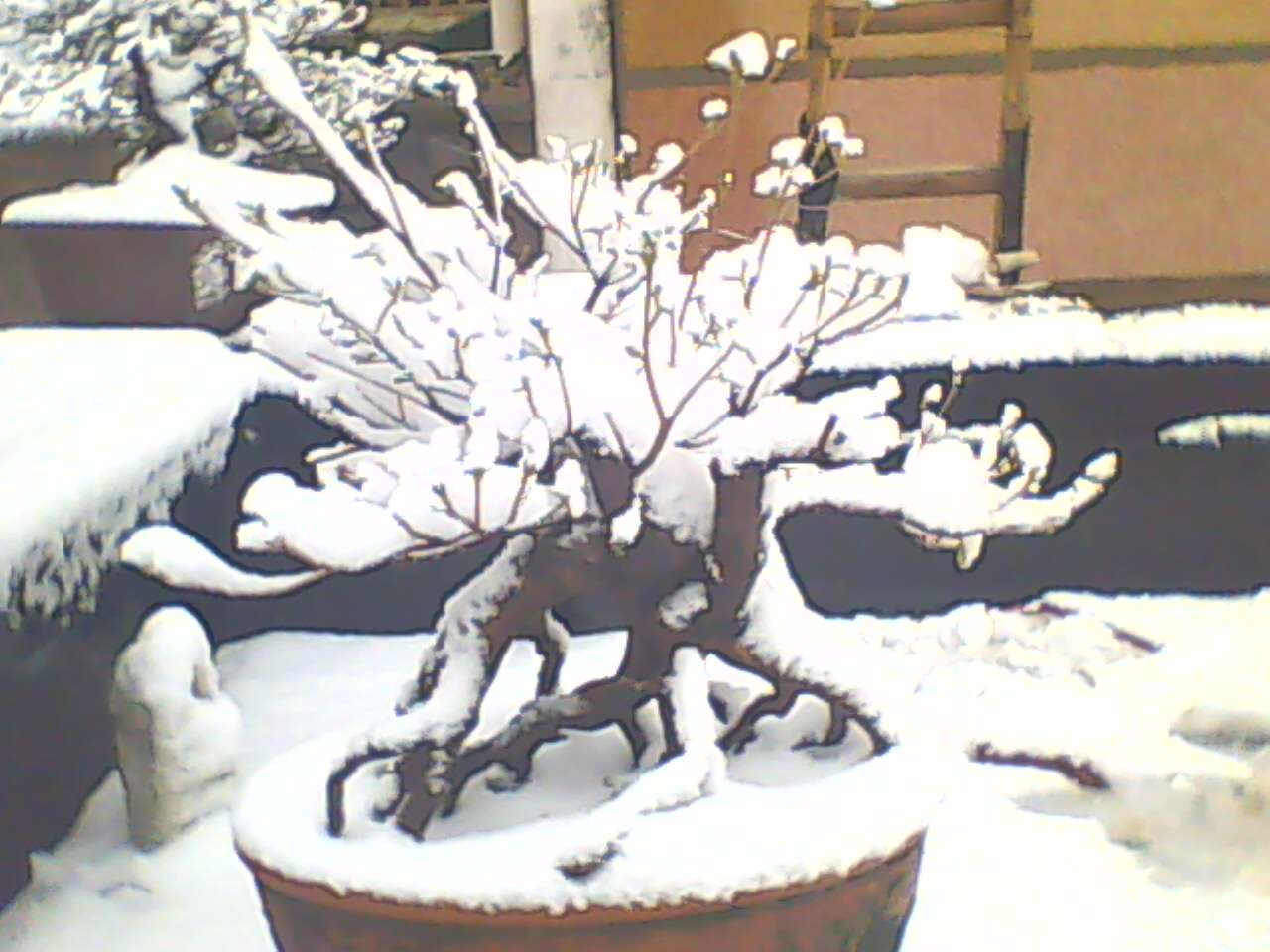 130219B114.jpg