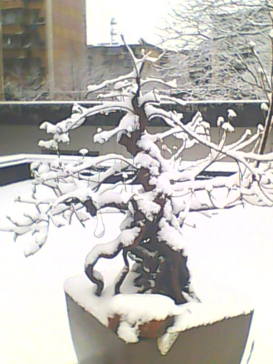 130219B118.jpg