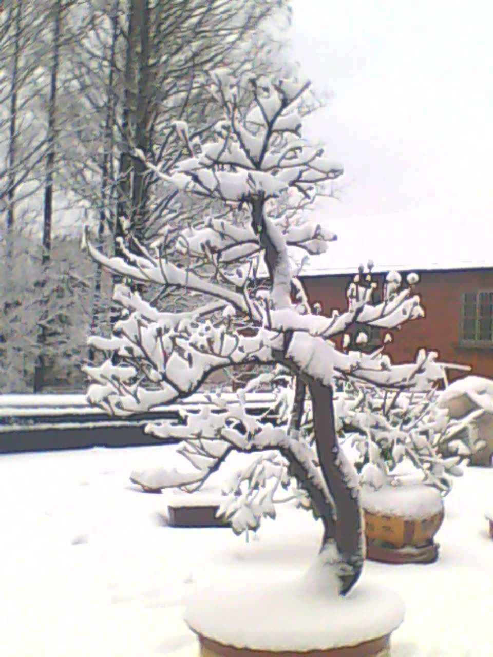 130219B119.jpg
