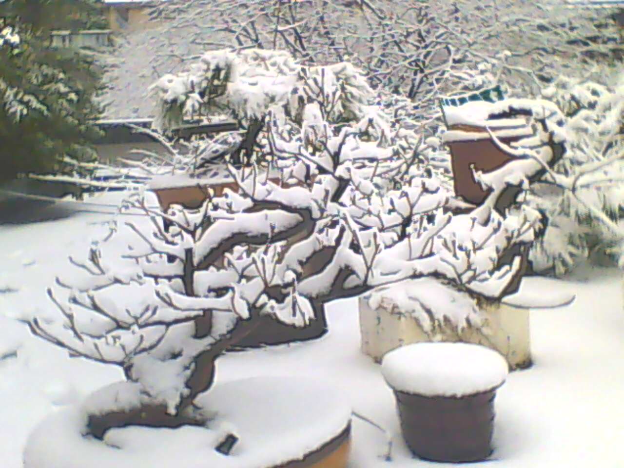 130219B120.jpg