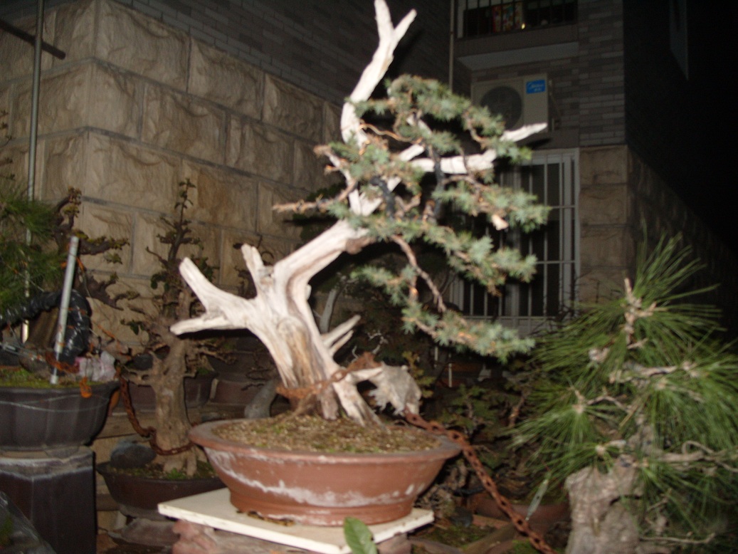 S1052041.JPG