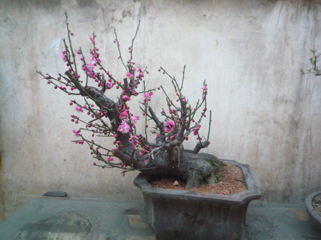 P1080319.JPG