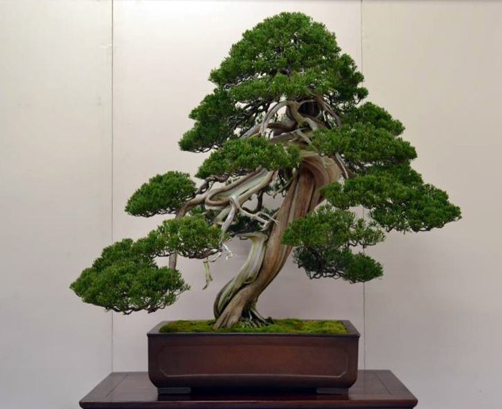 or-kokufu-2012-11.jpg