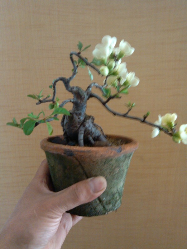 IMG20130309134218.jpg