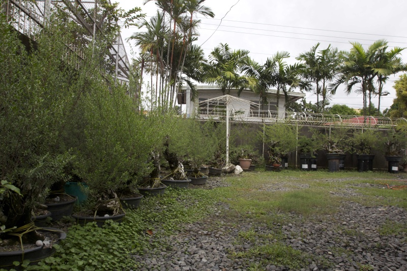 garden10.jpg