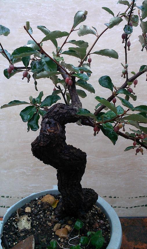 IMG0215162500.jpg