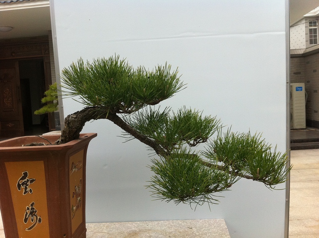 20130310ˮ1000 002.JPG