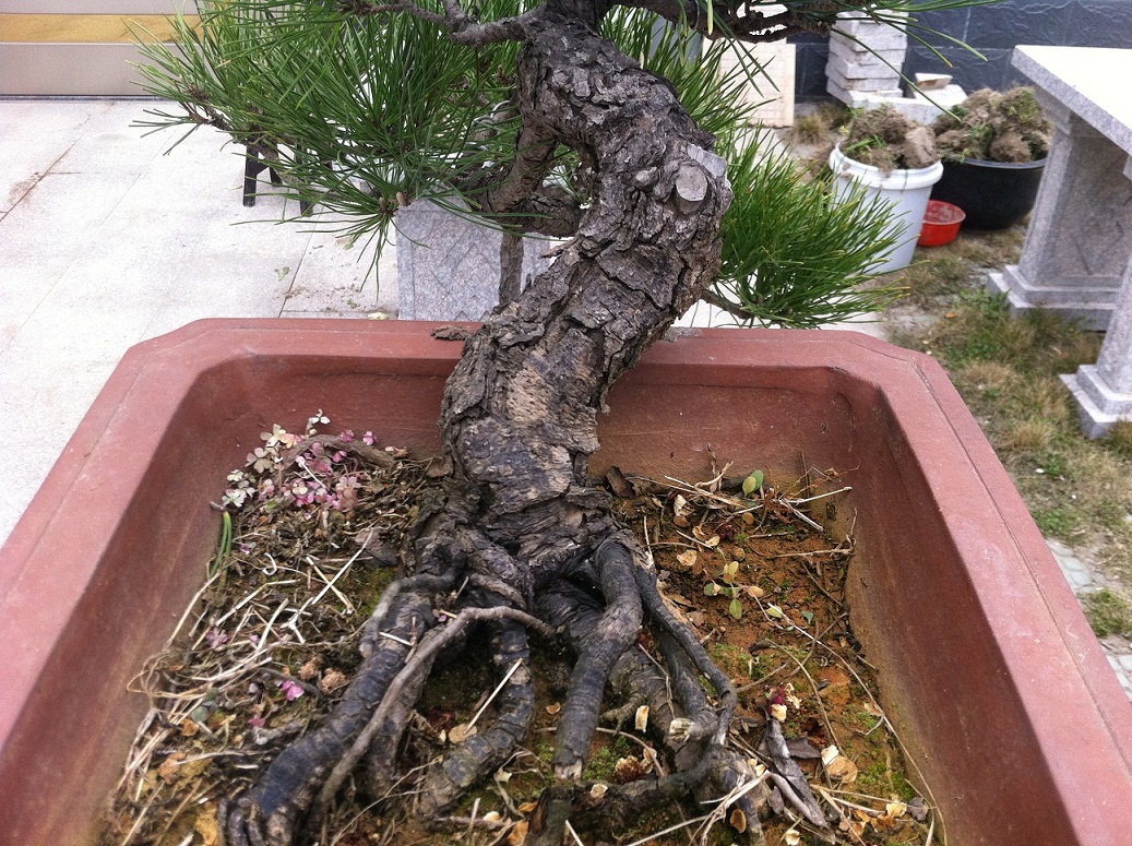 20130310ˮ1000 003.JPG