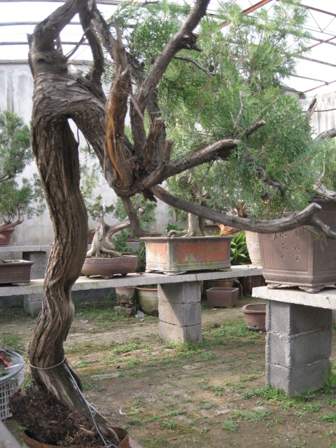 IMG_7362.JPG