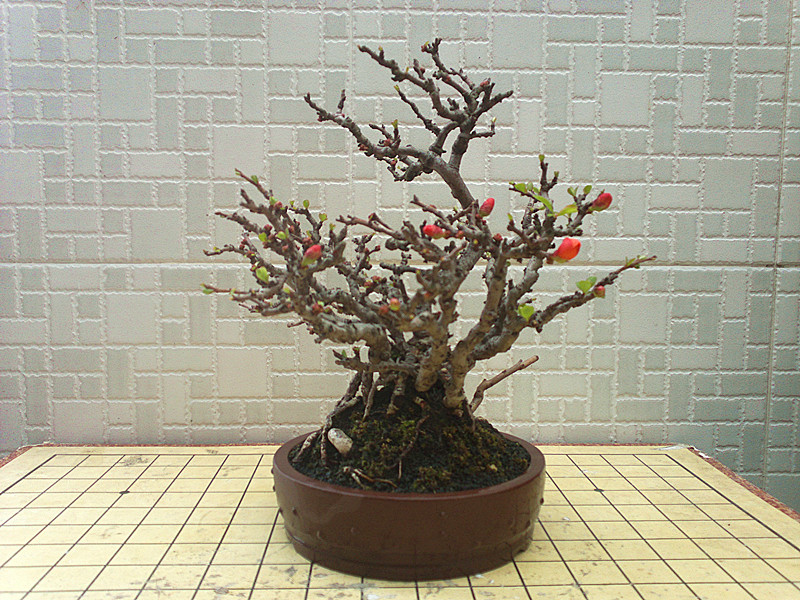 201303122456_.jpg