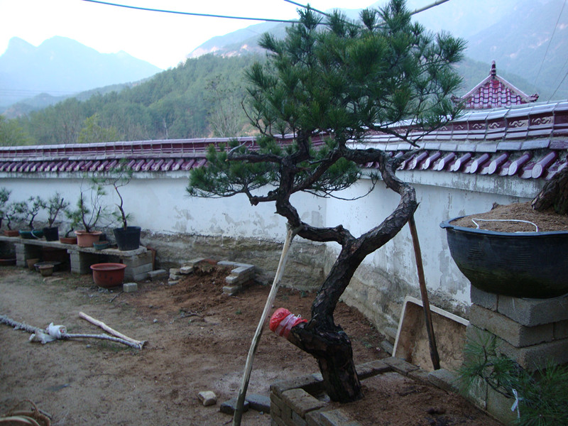 DSC00975_.jpg