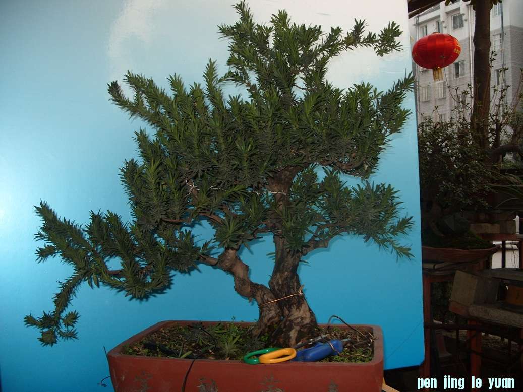 S1052058.JPG