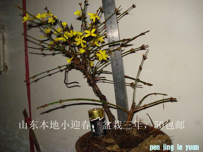 DSC04687_.jpg