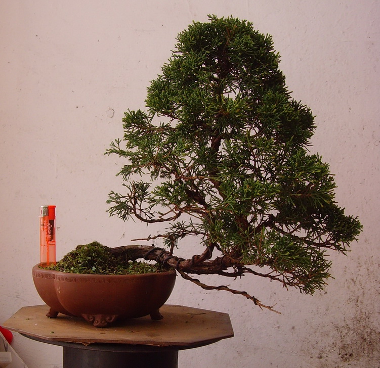 SNV39809.JPG