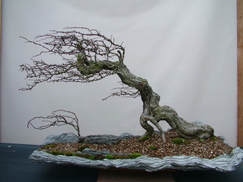 dscf9139.jpg