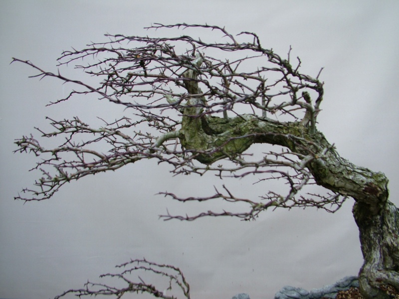 dscf9140.jpg