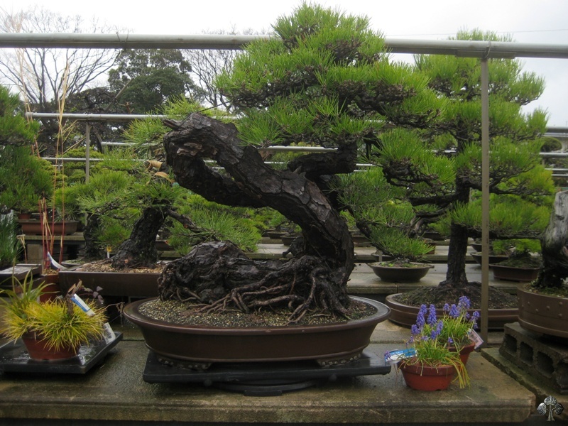 ideuekik_kouen_in_kinashi_13_20111228_1750670143.jpg