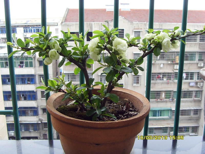 05.jpg