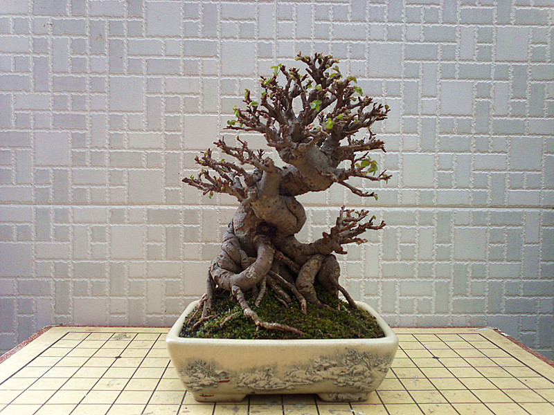 201303142526_.jpg