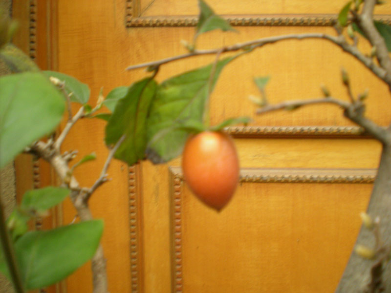 DSCN2157.JPG