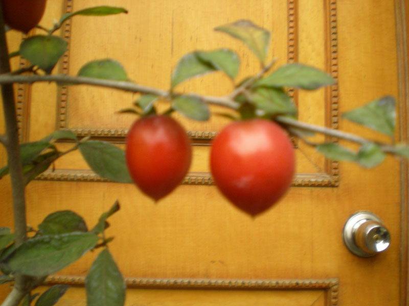 DSCN2159.JPG