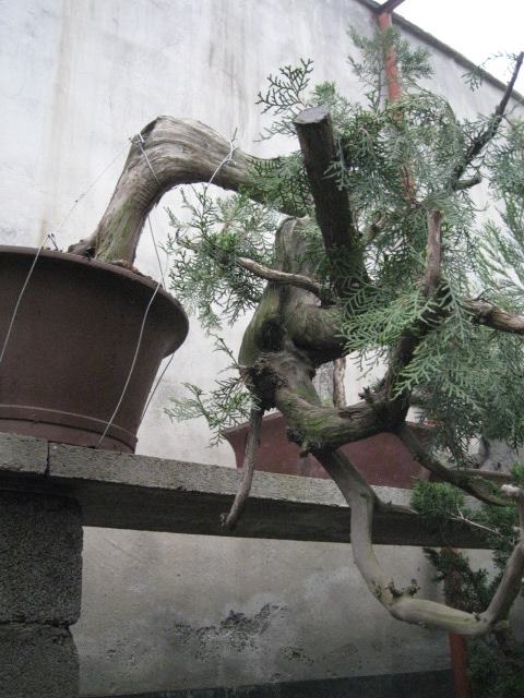 IMG_7378.JPG