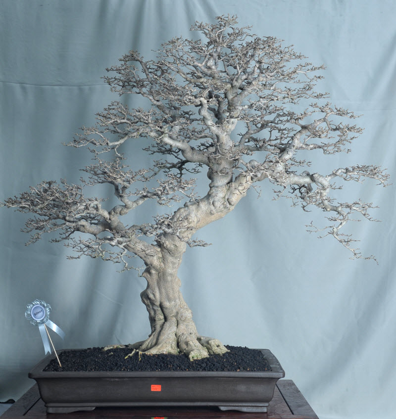aDSC_4351.jpg