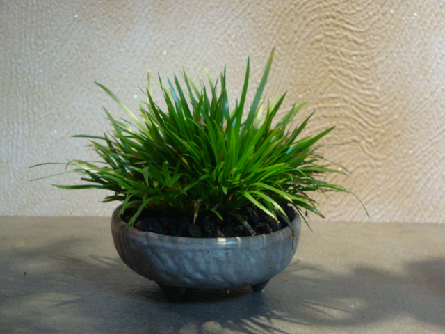 DSC02448.JPG