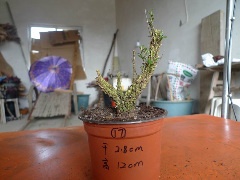 P1070213.JPG