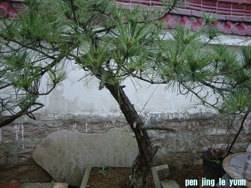DSC01000_.jpg