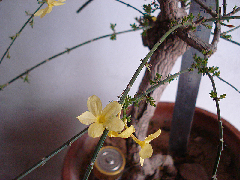 DSC04717_.jpg