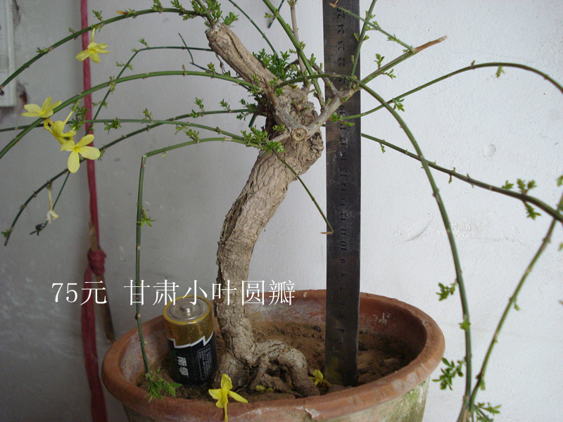 DSC04718_.jpg