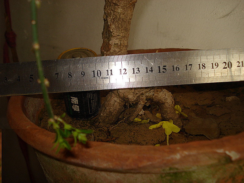 DSC04720_.jpg