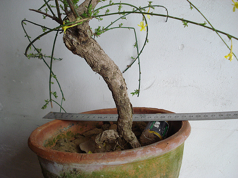 DSC04721_.jpg
