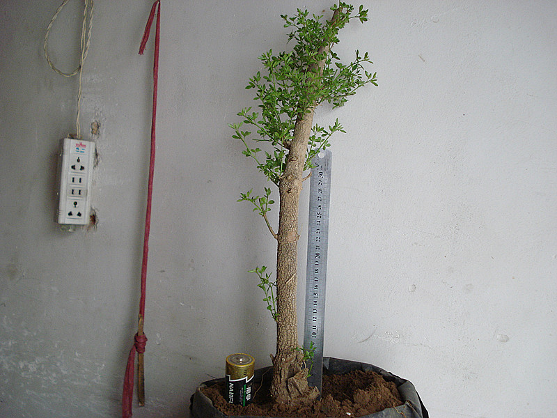 DSC04722_.jpg