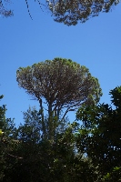 DSC00566 (133x200).jpg