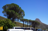 DSC00565 (200x133).jpg