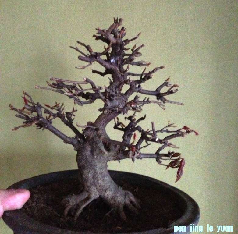 Ƿ㣨)
