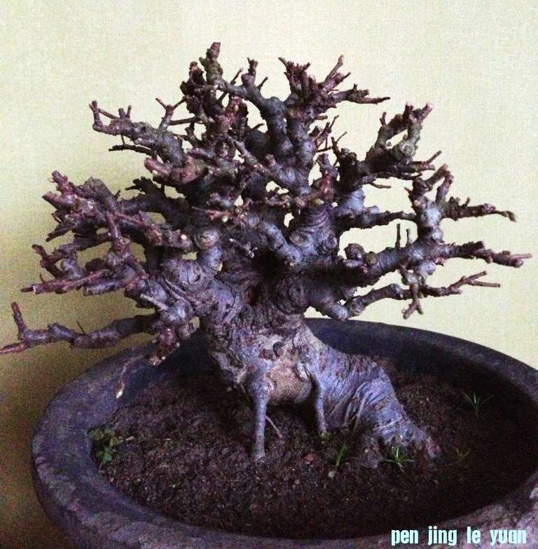ܣ棩
